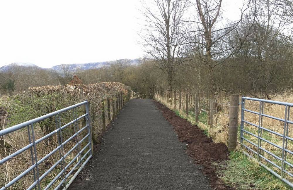 A pathway in forest area with steel gates at either side