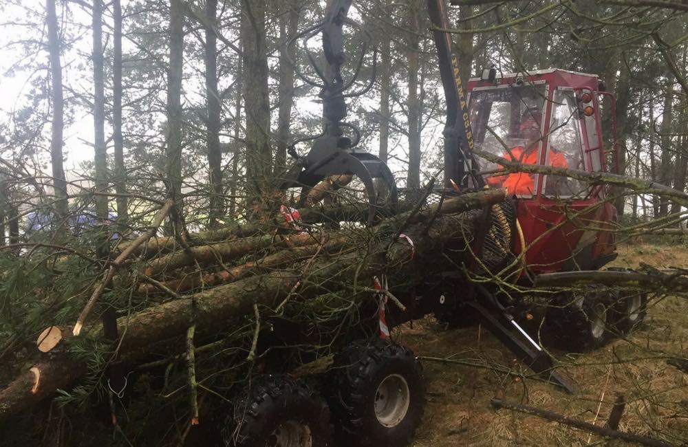 A digger clearing trees in a wood